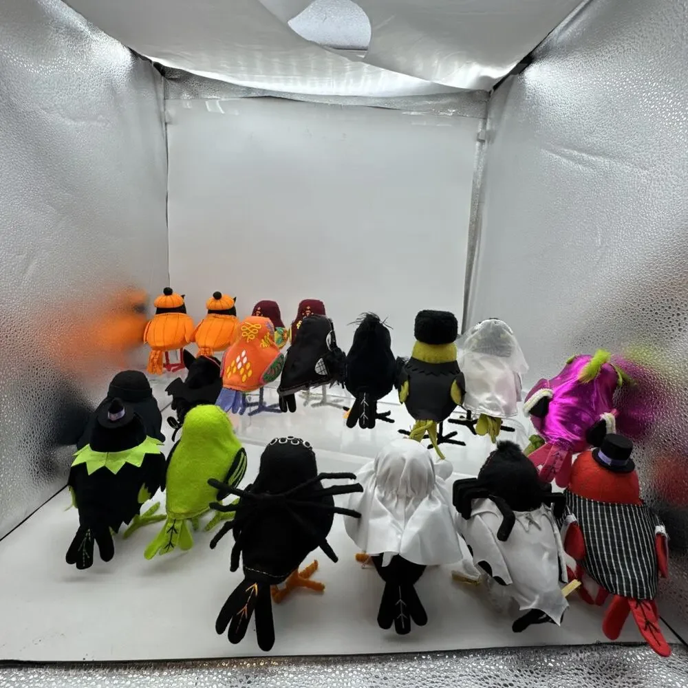 Spritz 2023 birds